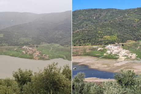 ΦΡΑΓΜΑ ΑΠΟΣΕΛΕΜΗ